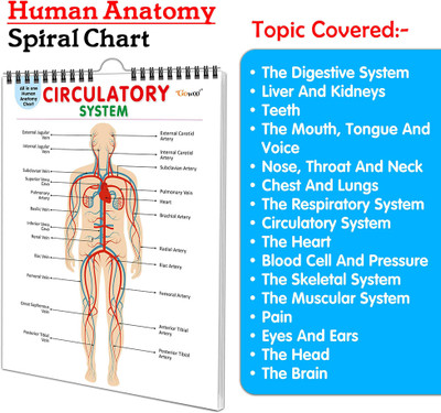 All In One Human Anatomy Chart :- Simple Study Anatomy Chart, Educational Human Body Chart, 16 In One Spiral Chart, Organs Systems Learning Chart(Spiral-bound, GOWOO)