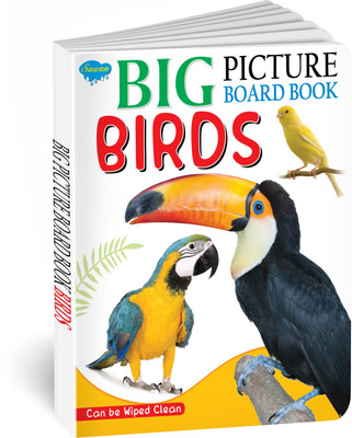 Big Picture Board Book Birds | Can Be Wiped Clean(Paperback, Manoj)