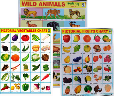 A Combo Of THREE Beautiful Pictorial WALL CHART Of Vegetables,fruits & Wild Animals For Kids Learning(Paperback, IBD)