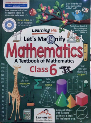 Lets Magnify Mathematics Class - 6(Paperback, T)