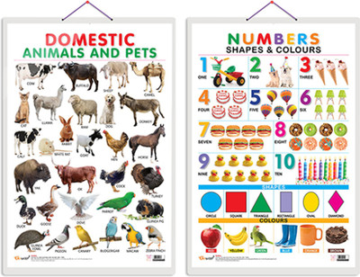 Gift Pack Of 2 Domestic Animals And Pets And Numbers, Shapes & Colours Charts | Wall Posters For Room Decor High Quality Paper Print With Hard Lamination (20 Inch X 30 Inch, Rolled)(Hardcover, Sahil)