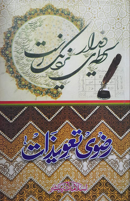 Razvi Tavizat(Paperback, Hindi, ALLAMA MOLANA ALAM FAQRI)