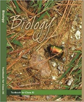NCERT Class 11 Biology New Edition 2024-2025 English Medium 2025(Paperback, NCERT)