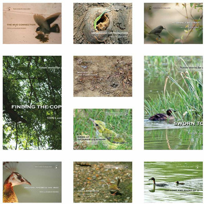 Nature Stories For Young Readers (Set Of 10 Books)(Paperback, Vidya and Rajaram Sharma)