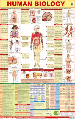 All in one Human Biology Chart | Laminated | Useful in School, classroom, home learning and for Exam preparation such as NEET | It includes Digestive, Reproductive, Muscular, Respiratory, Systems etc Wall Chart – 29 August 2022 Fine Art Print(22 inch X 36 inch)