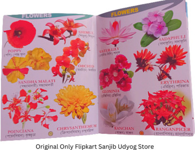 Flowers Recognise Book For Little Children's (Sanjib Udyog)(Paperback, Bengali, Editorial Team)