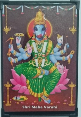 VGS MARKETINGS Goddess Sri Maha Varahi Devi Hindu Religion God vaaraahi Amman Ambal Mata Photo Religious Frame