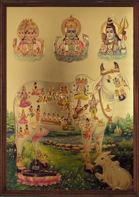 VJ ENTERPRISES Kamdhenu photo framed Religious Frame