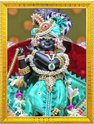 Nokkes Radha Raman Vrindavan Thakur Ji Religious Photo frame 5X7 Inch Photo Frame _W47 Religious Frame