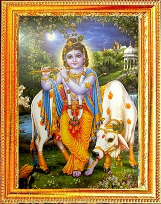 SUNINOW Bal gopal Photo Frame ( 20 X 15 CM ) Religious Frame