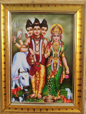 VJ ENTERPRISES Dattatreya photo Religious Frame