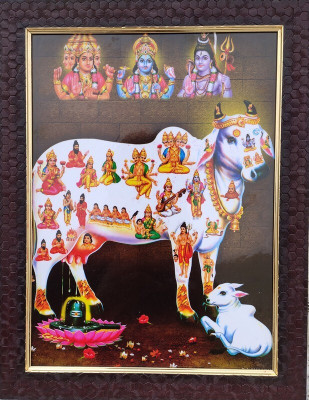 VJ ENTERPRISES Kamdhenu bhagwan photo frame Religious Frame