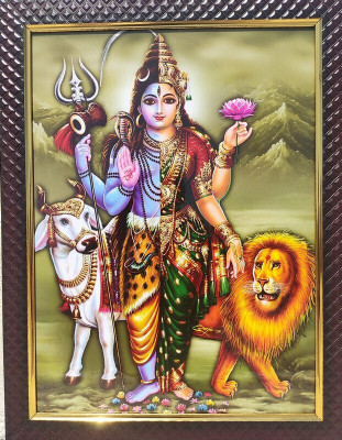 VJ ENTERPRISES ardhanareeshwar photo Religious Frame