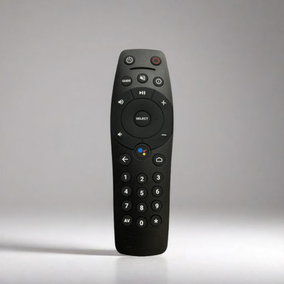 Narayan enterprises Remote Compatible for  Plus Set-Top Box (Non-Voice Command) Tata Sky Binge Remote Controller(Black)