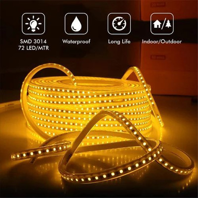 Dr MURECO 6500 LEDs 50 m Gold Steady String Rice Lights(Pack of 3)