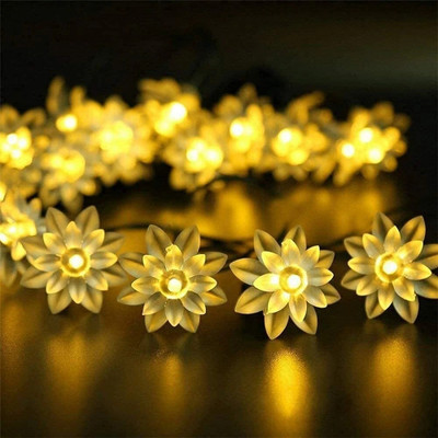 x pulse 14 LEDs 3 m White Steady Flower Rice Lights(Pack of 1)
