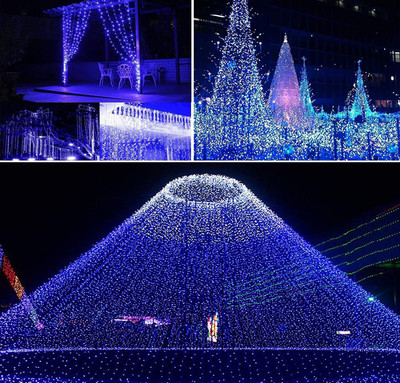 Local Charm 500 LEDs 9.14 m Blue Steady String Rice Lights(Pack of 10)