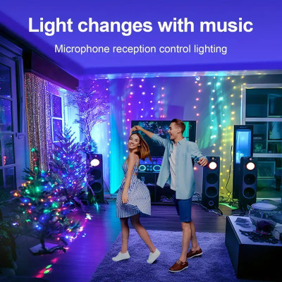 WunderVoX 100 LEDs 10 m Multicolor Color Changing, Flickering, Steady String Rice Lights(Pack of 1)
