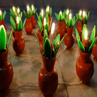 alila 21 LEDs 3 m Yellow Steady Kalash Rice Lights(Pack of 1)