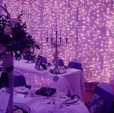 CANDLE 40 LEDs 11 m Pink Steady String Rice Lights(Pack of 1)