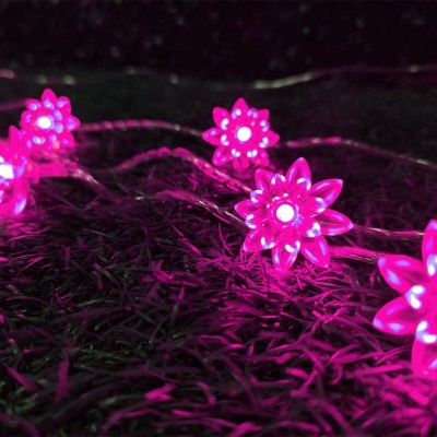 reyiys 20 LEDs 4 m Pink Steady Flower Rice Lights(Pack of 1)