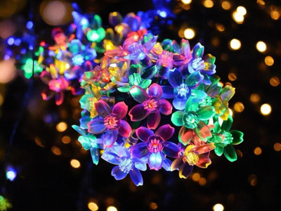 SAYENY 35 LEDs 6 m Multicolor Steady Flower Rice Lights(Pack of 1)