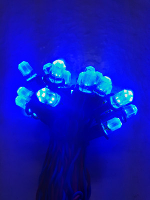 A.S.D. Electronics 50 LEDs 9.144 m Blue Steady String Rice Lights(Pack of 1)