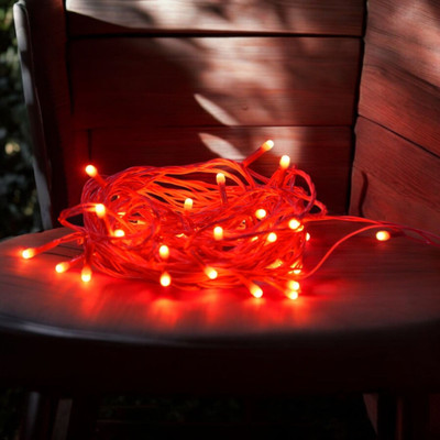 REIRSON 38 LEDs 10 m Red Steady Bulb Rice Lights(Pack of 1)
