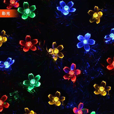 inooBeam 16 LEDs 3.014 m Multicolor Steady Flower Rice Lights(Pack of 1)