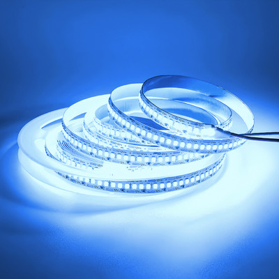 Nortek 60 LEDs 10 m Blue Steady Strip Rice Lights(Pack of 1)