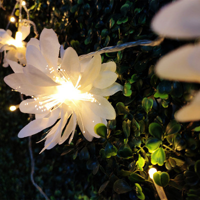 NISCO 20 LEDs 4.2 m White Steady Flower Rice Lights(Pack of 1)
