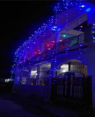 Local Charm 200 LEDs 7 m Blue Steady String Rice Lights(Pack of 10)