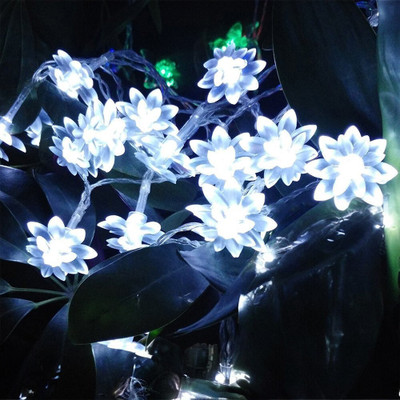 RaajaOutlets 20 LEDs 4.5 m White Steady Flower Rice Lights(Pack of 1)