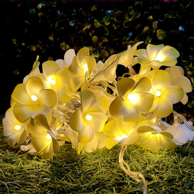 Infiprises 20 LEDs 4 m Yellow Steady Flower Rice Lights(Pack of 1)