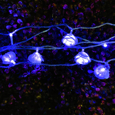 NISCO 20 LEDs 4 m Blue Steady Bulb Rice Lights(Pack of 1)