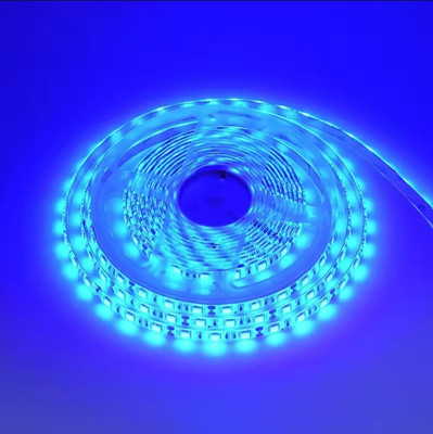 Nortek 60 LEDs 10 m Blue Steady Strip Rice Lights(Pack of 1)