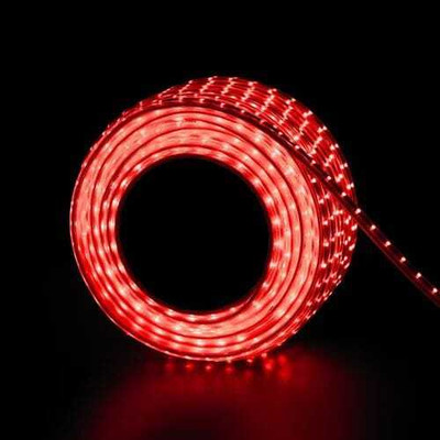 SEETASTIC 60 LEDs 5 m Red Steady Strip Rice Lights(Pack of 1)