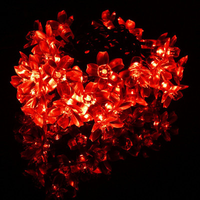 Meneon 16 LEDs 3 m Red Steady Flower Rice Lights(Pack of 1)