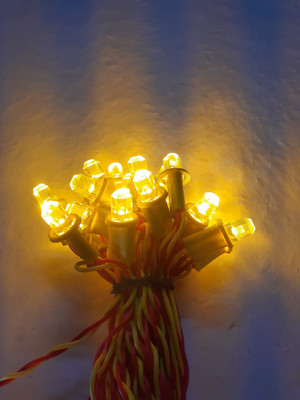 A.S.D. Electronics 50 LEDs 9.144 m Yellow Steady String Rice Lights(Pack of 1)