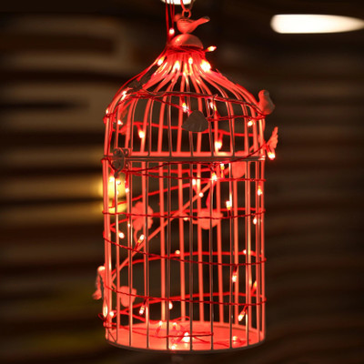 MACARIZE 30 LEDs 9.96 m Red Steady String Rice Lights(Pack of 1)