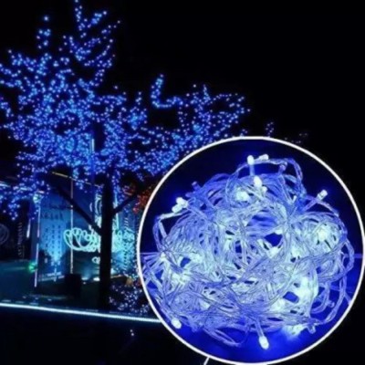 REIRSON 50 LEDs 10 m Blue Steady String Rice Lights(Pack of 1)