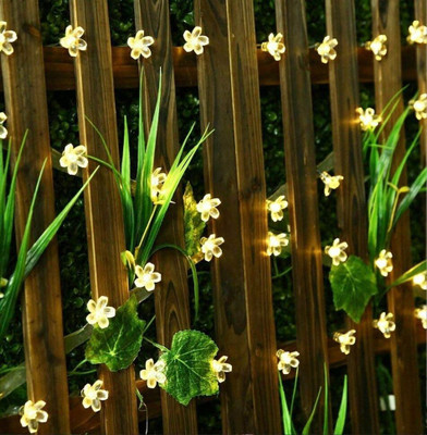 Medecor 36 LEDs 8 m Gold Steady Flower Rice Lights(Pack of 3)