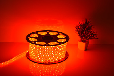 LiteSun 120 LEDs 5 m Red Steady Strip Rice Lights(Pack of 1)