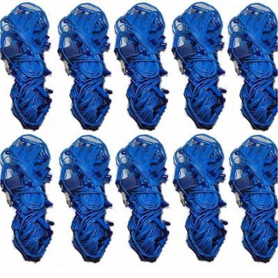 Local Charm 200 LEDs 8 m Blue Steady String Rice Lights(Pack of 10)