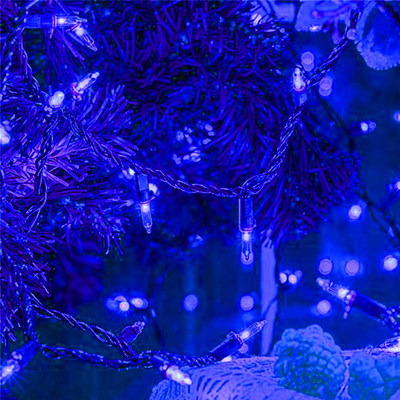 Kingdom 42 LEDs 10 m Blue Steady String Rice Lights(Pack of 1)