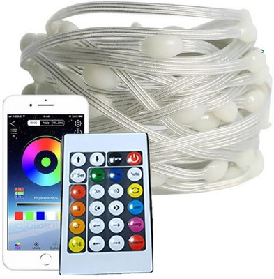 Xydrozen 100 LEDs 10 m Multicolor Color Changing, Flickering, Steady String Rice Lights(Pack of 1)
