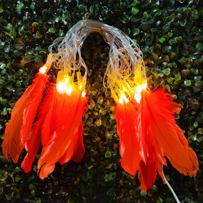 Infiprises 16 LEDs 3 m Orange Steady String Rice Lights(Pack of 1)