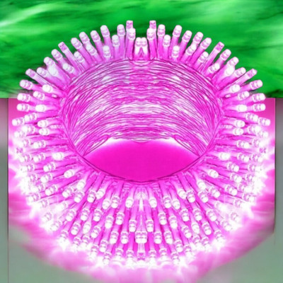 spark world 40 LEDs 11 m Pink Steady Bulb Rice Lights(Pack of 1)