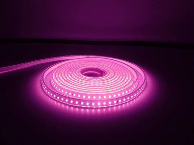 WBD 1760 LEDs 22 m Pink Steady Strip Rice Lights(Pack of 1)