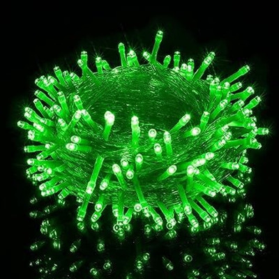 QUACE 40 LEDs 12 m Green Steady String Rice Lights(Pack of 1)